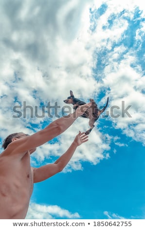Stock photo: Topless In Blue