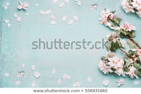 Stok fotoğraf: Spring Top View Background