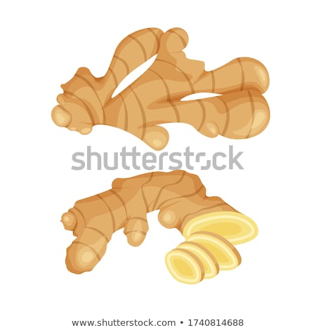 Stockfoto: Fresh Ginger Root