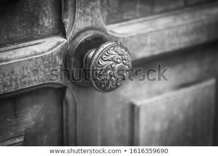 [[stock_photo]]: Ancient Italian Door Knocker