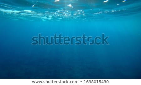 Foto stock: Deep Blue Sea