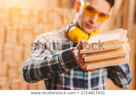 Foto stock: Carpenter Holding Plywood