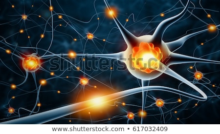 Stock fotó: 3d Rendered Illustration - Nerve Cell