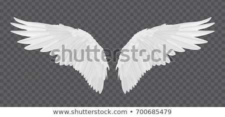 Stok fotoğraf: Angel Vector