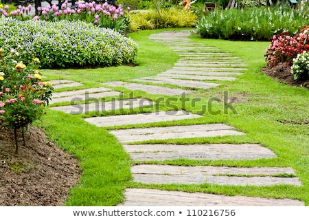 Stock foto: Landscaping In The Garden The Path In The Garden