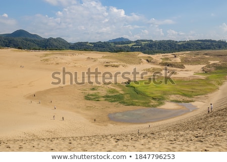 Foto d'archivio: Giant Green Sand Dunes
