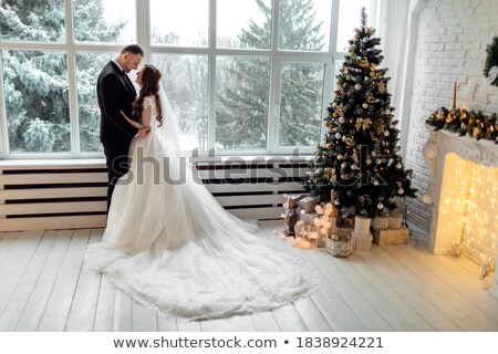 Сток-фото: Bride Posing In A Large Window