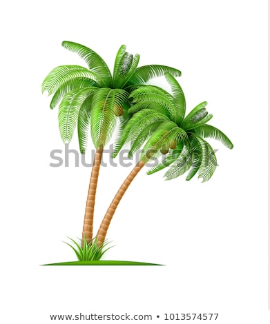 Zdjęcia stock: Green Trees In 3d Vector Illustration