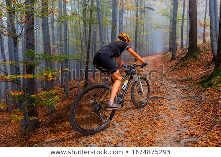 Foto d'archivio: Mountain Biker Riding Cycling In Autumn Forest