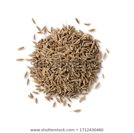 Stock fotó: Pile Of Caraway Seeds