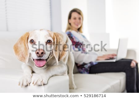 Foto stock: Beautiful Young Blonde Woman With Her Dog At Home