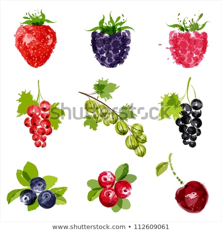 Сток-фото: Raspberries Cranberries And Blueberries On Red Background Watercolor Illustration