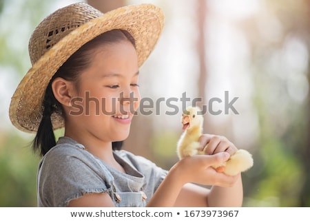 Foto stock: The Yellow Small Duckling