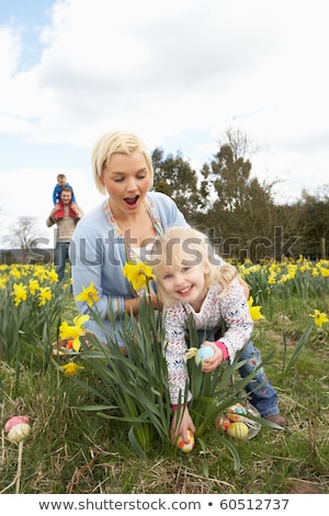 Foto stock: Family On Easter Egg Hunt In Daffodil Field