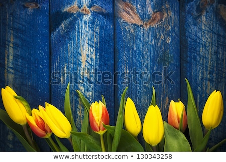 ストックフォト: Art Abstract Background Spring Tulips Wooden Design