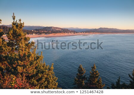 Stok fotoğraf: Cape Kiwanda In Pacific City Beach At Sunset