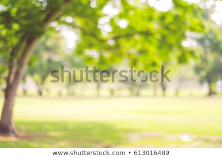 Stock photo: Gardening Background