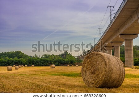 [[stock_photo]]: Bale Of Straw 17