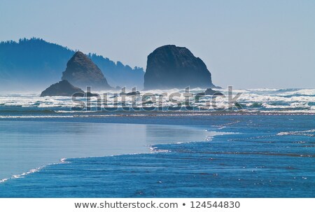 Foto stock: Rugged Rocky Arcadia Beach On The Oregon Coast