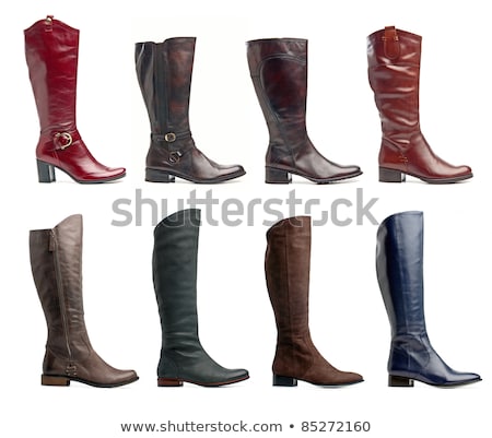 ストックフォト: Elegant Female Knee High Boots Isolated On White