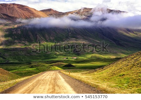 Stockfoto: Yellow Flowers At A Gravel Road