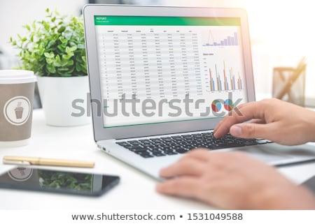 [[stock_photo]]: Laptop Screen With Budget Planning Concept