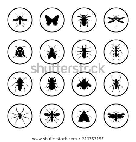 Stockfoto: Round Icons With Insects