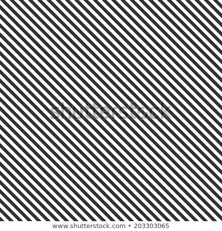 Vector Black White Diagonal Lines Geometric Seamless Pattern Stock photo © ExpressVectors
