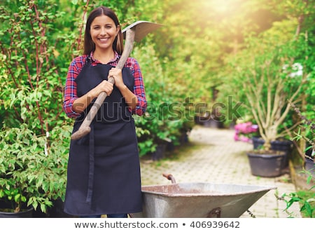 Zdjęcia stock: Woman Gardener Standing Over Flowers Plants In Greenhouse Holding Plant