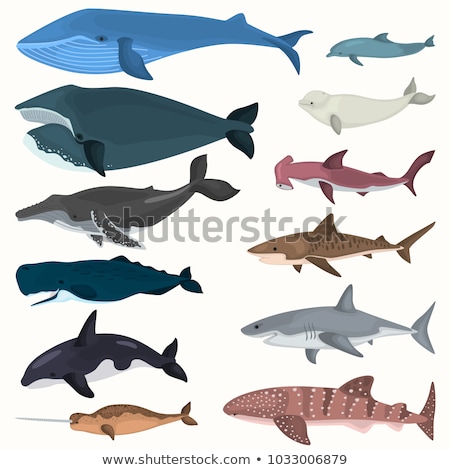 Foto stock: Whale Blue Icons Set Tail Symbol