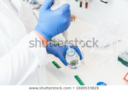 Stock foto: Doctor Removing Liquid For Experiment