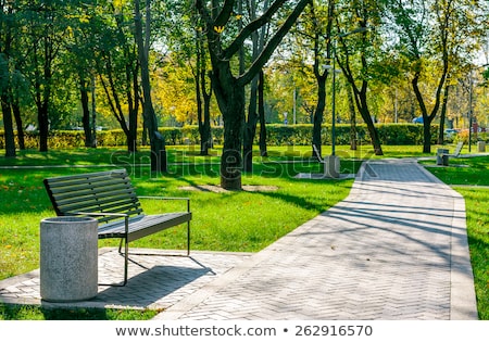 Stok fotoğraf: Sunny Alley In The City Park In Spring Nature And Outdoor Landscape