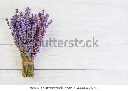 Сток-фото: Bunch Of Lavender Flowers On A Table