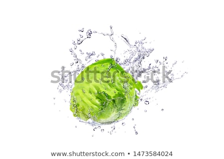 ストックフォト: Fresh Green Lettuce