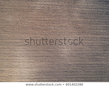 Stock foto: Aerial View Of Cultivated Corn Furrows