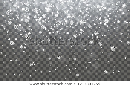 Zdjęcia stock: Christmas Snow Falling Snowflakes On Dark Background Snowfall Vector Illustration