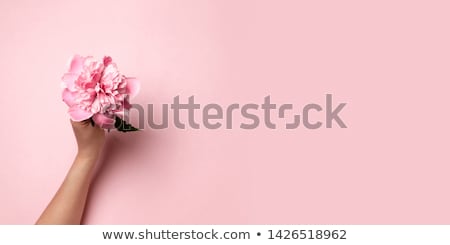 [[stock_photo]]: Female Uterus Abstract Background