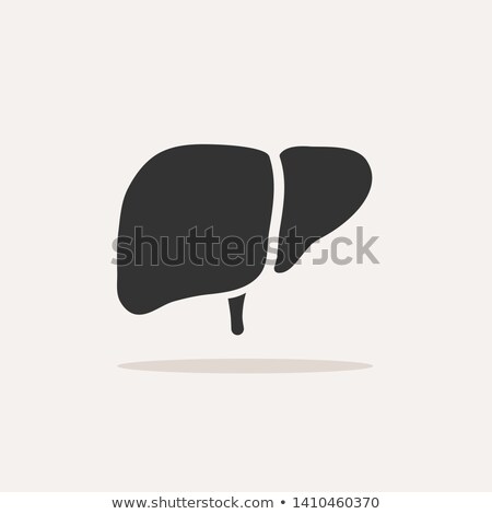 Stock photo: Liver Icon With Shadow On Beige Background