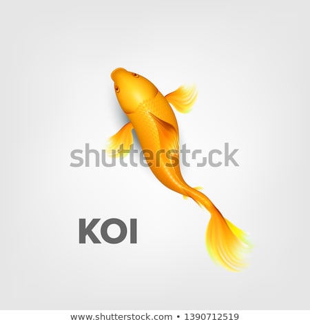 ストックフォト: Realistic Oriental Bright Yellow Koi Fish Vector