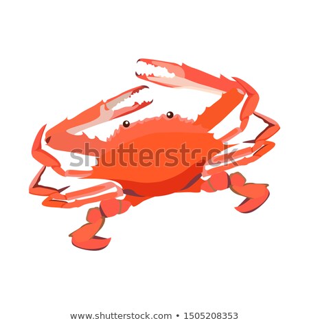 Red Cooked Crab Icon Isolated On White Background Fresh Seafood Healthy Tasty Food Vector Illustr Zdjęcia stock © MarySan