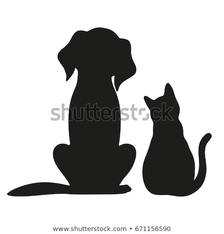 Stock foto: Animals Cat And Dog Domestic Pet Mammal Vector