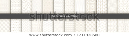 Stock foto: Design Artist Line Pattern Concept