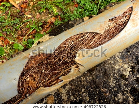 Foto stock: Blocked Drain