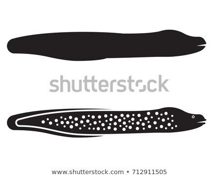 ストックフォト: Silhouette Of Moray Eel