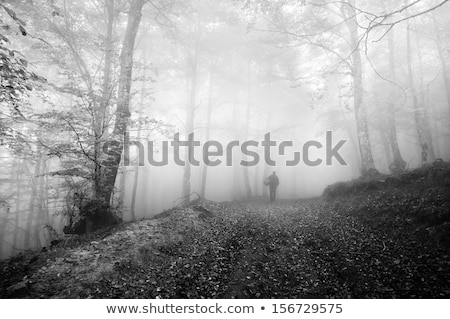 Foto stock: Man Hunting In The Woods