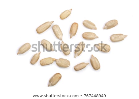 Stock fotó: Sunflower Seeds Isolated On White