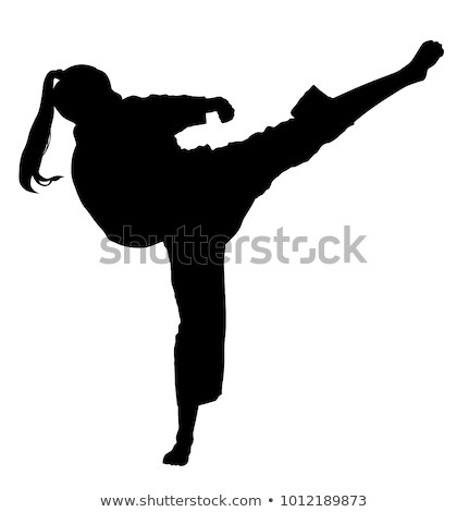 [[stock_photo]]: Karate Silhouette