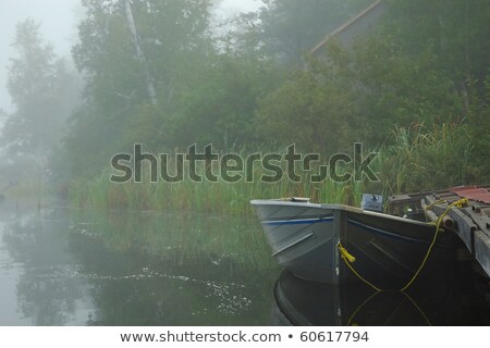 [[stock_photo]]: Small Fishing Boat In Swamp