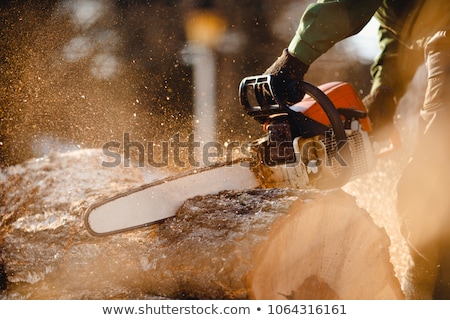 Сток-фото: Lumberjack Cuts Down The Tree By The Chainsaw