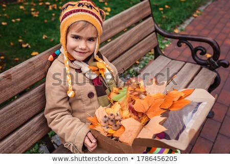 Stok fotoğraf: Chestnuts And Acorns